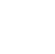 Ícone de uma folha com círculos conectados em torno.