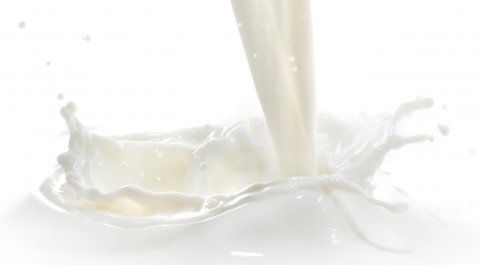 INovo método para remover lactose do leite