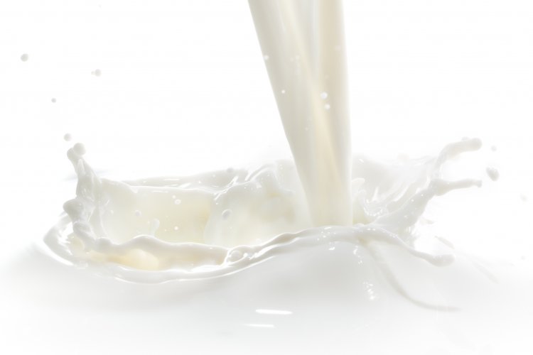 Novo método para remover lactose do leite